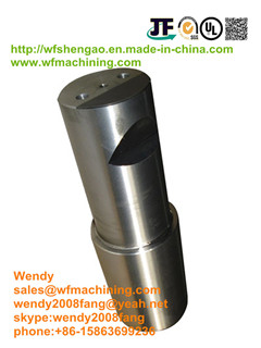 Stainless Steel Metal Forging Parts with Machining Service