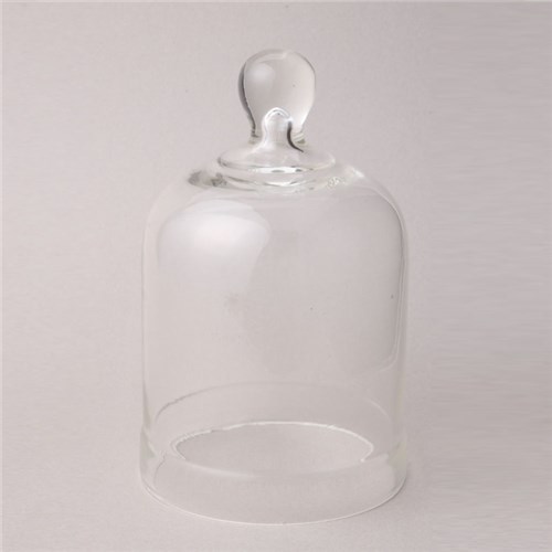 Clear Glass Bell Jar With Knob Top