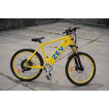 Z Electric Vehicle 750 Watt Electric Bicycle, Pedal-Electric