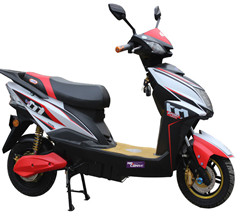 Electric scooter for s