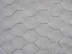 Hexagonal Wire Chicken Cage