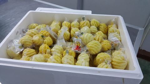 PREMIUM Frozen mini pineapple / PHULAE Variety, /Northern TH
