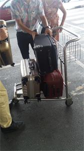 HAND BRAKE AIRPORT AND HOTEL LUGGAGE TROLLEY A-071