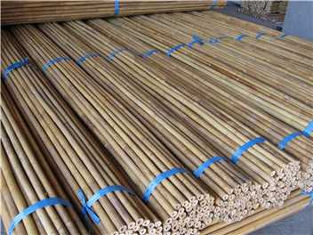 Cheap Price Tonkin Bamboo Pole For Tree Guards
