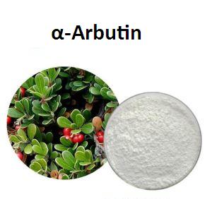Active ingredients for Cosmetics ------Alpha-Arbutin