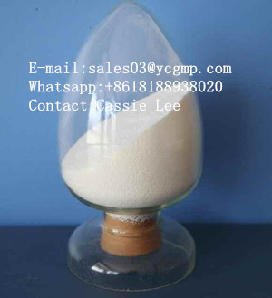 Raw  Steroid Testosterone Enanthate powder  Supplier China