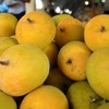 Buy  Valencia oranges, hass avocados, mandarine, mangos
