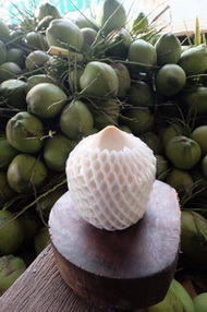 Thailand Aromatic Fresh Young Coconut