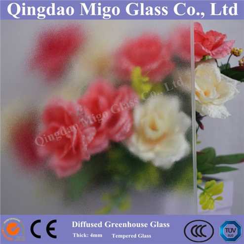 High Haze Tempered Diffused Greenhouse Glass With TUV/SGS Certificates