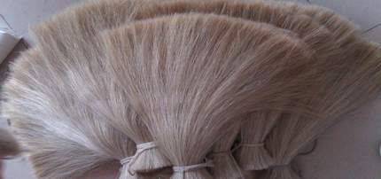 Sell cow hair with good quality