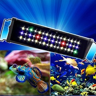 Aquarium accessories(aquarium-solution.com)