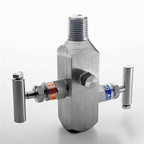 2 Way Valve Manifold picture