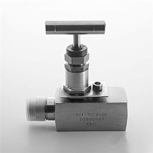 Stainless Steel Needle Valve