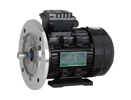 MS Aluminum Frame Three Phase Electric Motor