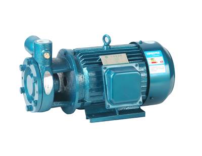 W Type Vortex Pump