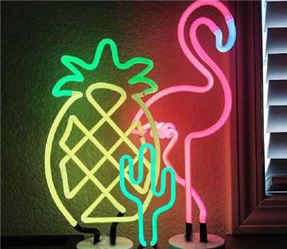 Neon Light Of Flamingo Pineapple Coucan Cactus Rainbow