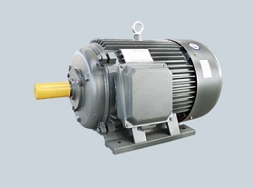 Y Series Cast Iron Three Phase Asynchronous Induction Motor
