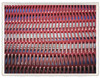Spiral press filter fabrics picture