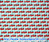 Polyester Forming fabrics