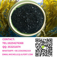Factory supplier best price seaweed powder natural ecklonia