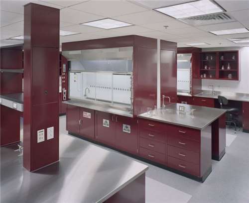 School Biological Steel Laboratory Fume Hood With Duct System