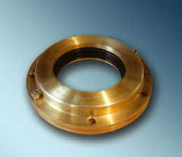 WTDM rudder pintle sealing apparatus