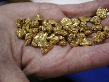 Gold nuggets and bars available for sale -