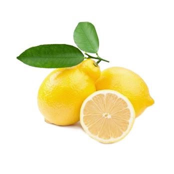 Lemon/Meyer Lemon/ Ponderosa Lemon /Fresh Lemon