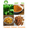 GMP/FDA factory supply turmeri cextract curcumin 95% natural