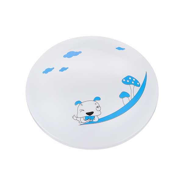 20W LED Ceilling light