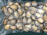 Frozen Abalone for sale