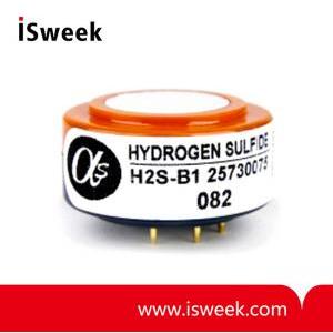 H2S-B1 Hydrogen Sulfide Sensor (H2S Sensor)