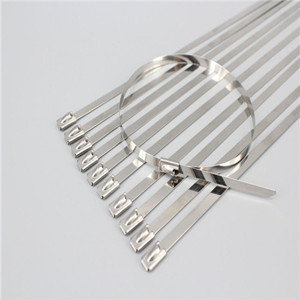 Stainless Steel Cable Ties picture