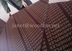 Film Faced Plywood