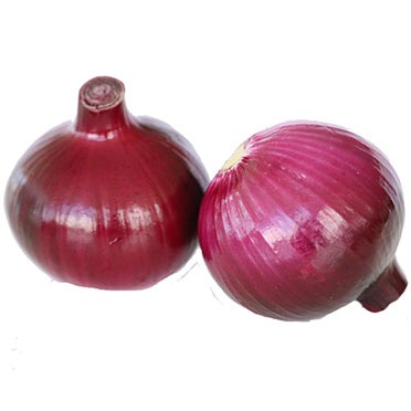 Fresh onions with best quality