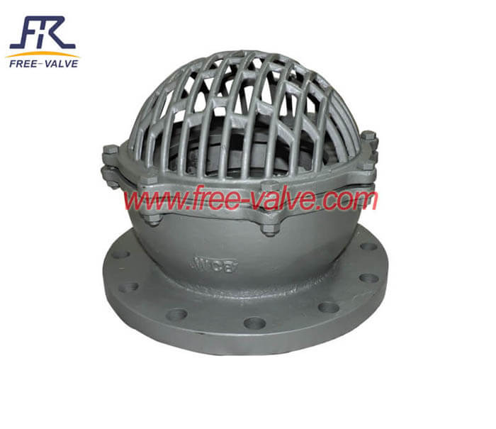 Flange Bottom foot valve picture