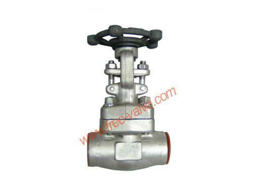 SW Ends Forged Steel Globe Valve