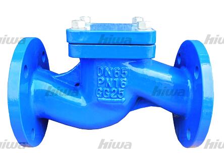 DIN Lift Check Valve picture