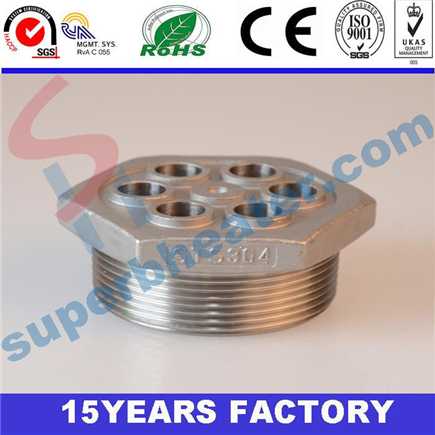 OEM 2 Inch Stainless Steel Forged Flange Made