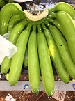 Vietnam Fresh Green Cavendish Bananas picture