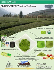 GREEN TEA EXTRACT POWDER- VIETNAM TEA- VIETNAM FRUIT picture