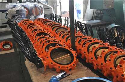 Lugged Butterfly Valve