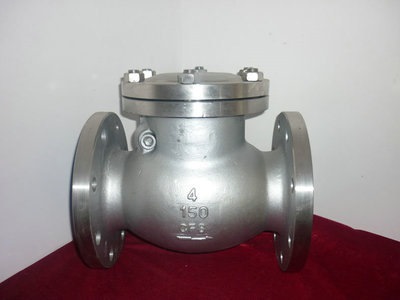 304 Swing Check Valve Industrial Used