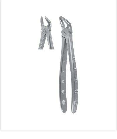 Extraction Forceps Lower Premolar Fig 8, Best Extraction For