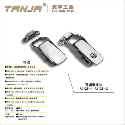 TANJA A112B stainless steel draw latch with side hole