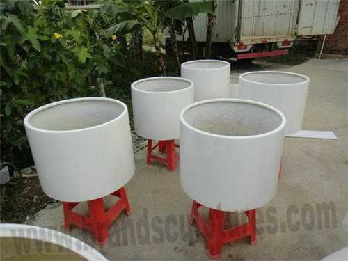 Interior House Design Fiberglass Planters Sculptures
