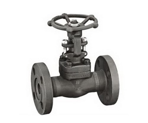 API 602 Standard Forged Steel NPT /SW /BW Webge Gate Valve