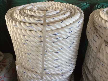 22mm White PP Danline Rope