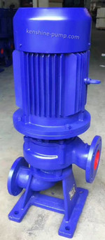 LW WL Vertical sewage pump picture