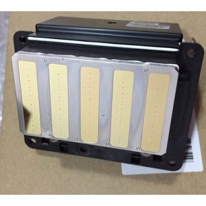 Epson Stylus Pro 11880 / 11880C Printhead F179000 / F179010